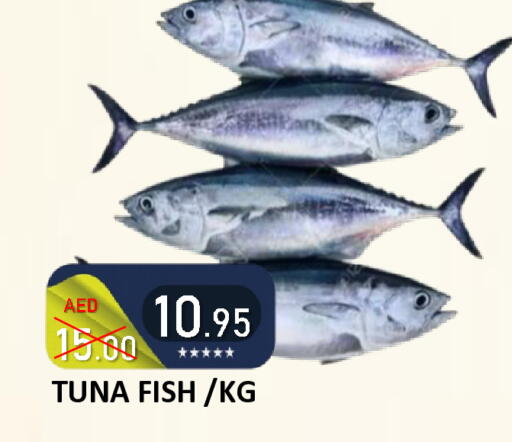 available at رويال جلف هايبرماركت in الإمارات العربية المتحدة , الامارات - أبو ظبي