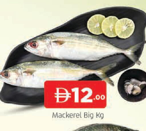 available at المدينة in الإمارات العربية المتحدة , الامارات - دبي