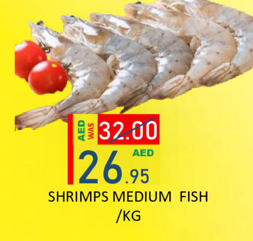 available at رويال جلف هايبرماركت in الإمارات العربية المتحدة , الامارات - أبو ظبي