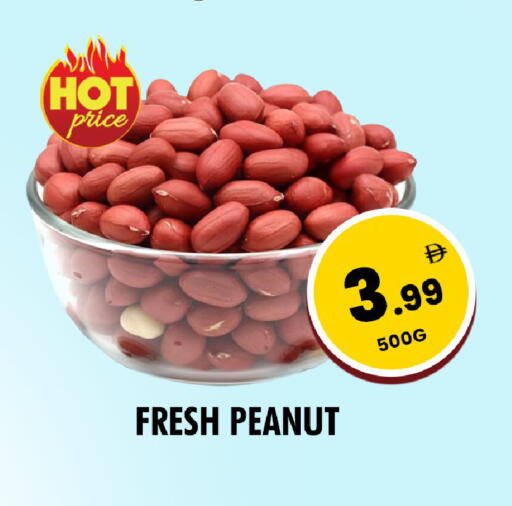 available at NIGHT TO NIGHT DEPARTMENT STORE in UAE - Dubai