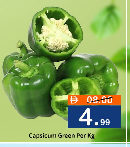 Capsicum available at رويال جلف هايبرماركت in الإمارات العربية المتحدة , الامارات - أبو ظبي