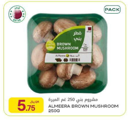 Mushroom available at شركة الميرة للمواد الاستهلاكية in قطر - الخور