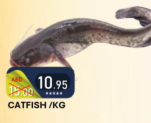 available at رويال جلف هايبرماركت in الإمارات العربية المتحدة , الامارات - أبو ظبي