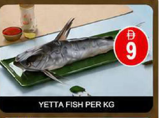 available at AL MADINA (Dubai) in UAE - Dubai