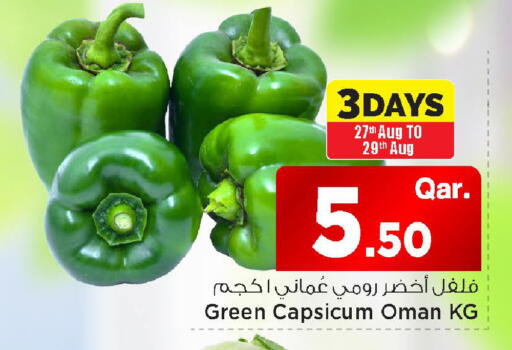 Green Capsicum from Oman available at مارك & سيف in قطر - الشمال