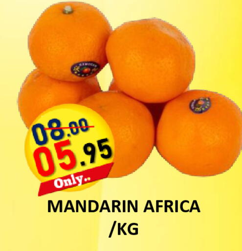 Mandarin available at رويال جلف هايبرماركت in الإمارات العربية المتحدة , الامارات - أبو ظبي