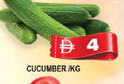 Cucumber available at المدينة in الإمارات العربية المتحدة , الامارات - دبي