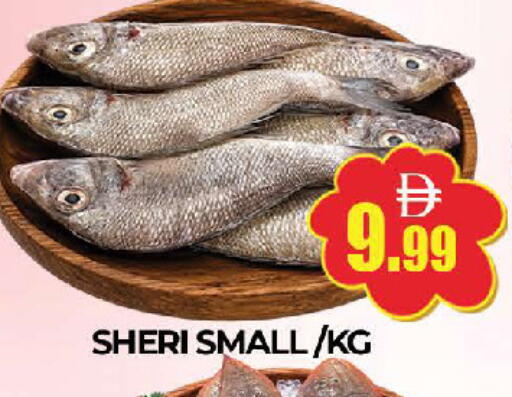 available at AL MADINA (Dubai) in UAE - Dubai