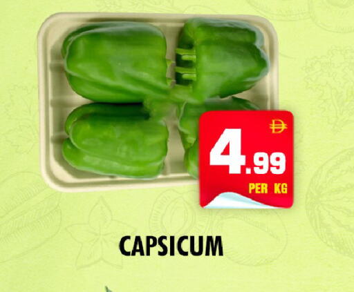 Capsicum available at NIGHT TO NIGHT DEPARTMENT STORE in UAE - Dubai