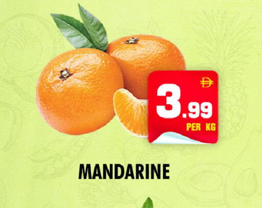 available at NIGHT TO NIGHT DEPARTMENT STORE in UAE - Dubai