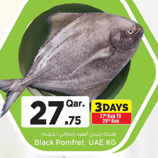 available at مارك & سيف in قطر - الدوحة
