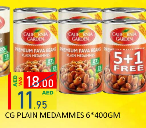 available at رويال جلف هايبرماركت in الإمارات العربية المتحدة , الامارات - أبو ظبي