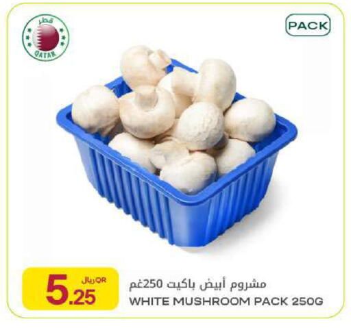 Mushroom from Qatar available at شركة الميرة للمواد الاستهلاكية in قطر - الخور