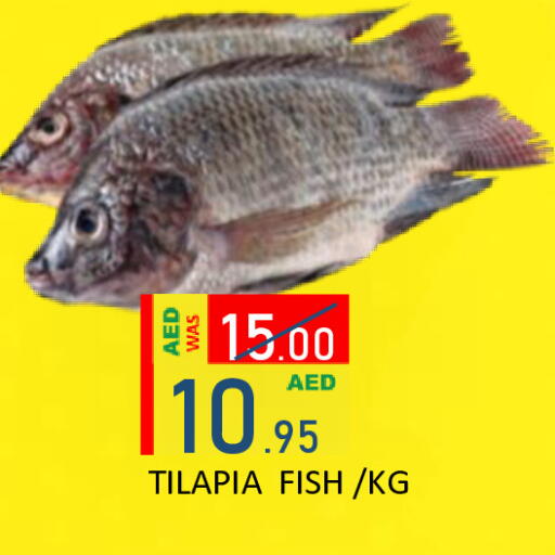 available at رويال جلف هايبرماركت in الإمارات العربية المتحدة , الامارات - أبو ظبي