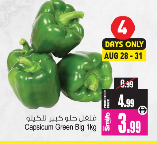 Capsicum available at Ansar Gallery in UAE - Dubai