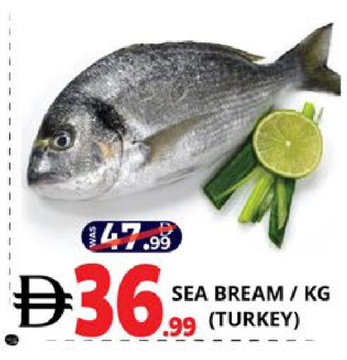 available at اكسبرس المدينة هايبرماركت in الإمارات العربية المتحدة , الامارات - أبو ظبي