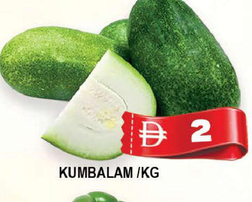 available at المدينة in الإمارات العربية المتحدة , الامارات - دبي