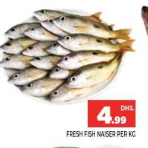 available at Ainas Al madina hypermarket in UAE - Sharjah / Ajman