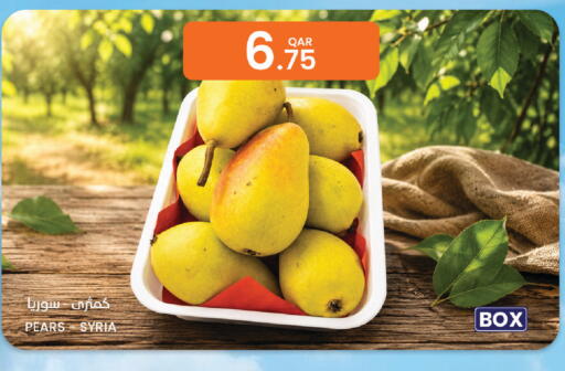 from Syria available at البلدي اليوم in قطر - الشمال