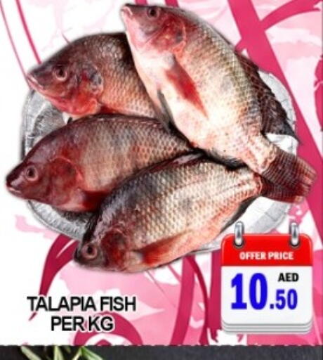 available at جرين جيفت متجر أقسام in الإمارات العربية المتحدة , الامارات - دبي