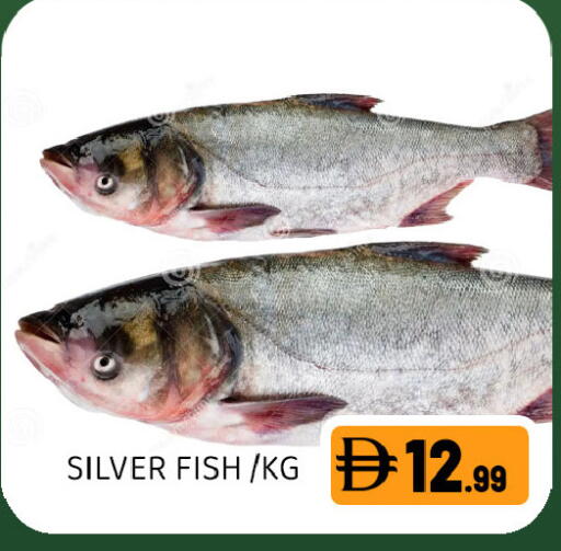 available at Ain Al Madina Hypermarket in UAE - Sharjah / Ajman