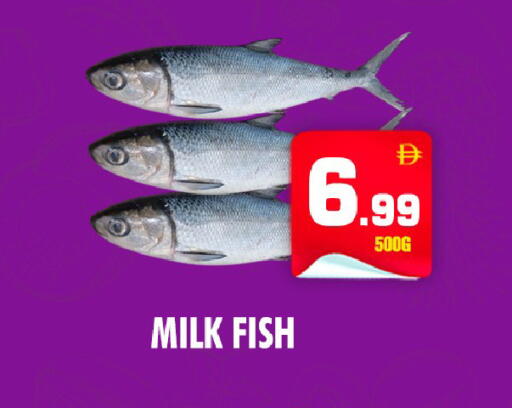 available at NIGHT TO NIGHT DEPARTMENT STORE in UAE - Dubai
