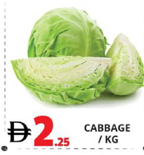 Cabbage available at اكسبرس المدينة هايبرماركت in الإمارات العربية المتحدة , الامارات - أبو ظبي