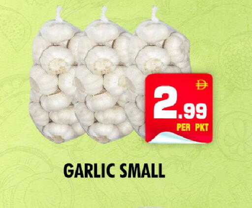 Garlic available at NIGHT TO NIGHT DEPARTMENT STORE in UAE - Dubai