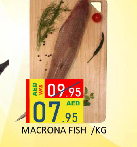 available at رويال جلف هايبرماركت in الإمارات العربية المتحدة , الامارات - أبو ظبي