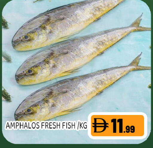 available at Ain Al Madina Hypermarket in UAE - Sharjah / Ajman