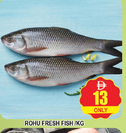 available at AL MADINA (Dubai) in UAE - Dubai