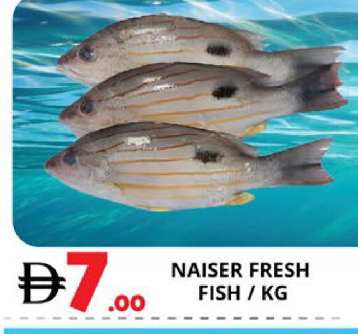 available at اكسبرس المدينة هايبرماركت in الإمارات العربية المتحدة , الامارات - أبو ظبي