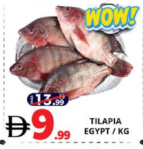 available at اكسبرس المدينة هايبرماركت in الإمارات العربية المتحدة , الامارات - أبو ظبي