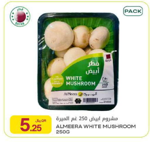 Mushroom available at شركة الميرة للمواد الاستهلاكية in قطر - الدوحة
