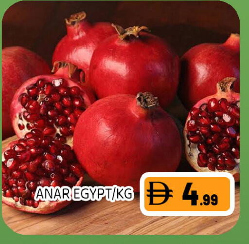 from Egypt available at Ain Al Madina Hypermarket in UAE - Sharjah / Ajman