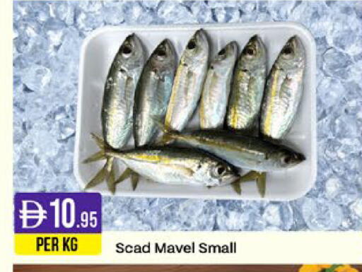 available at West Zone Supermarket in UAE - Sharjah / Ajman