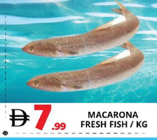 available at EXPRESS AL MADEENA HYPERMARKET LLC in UAE - Abu Dhabi