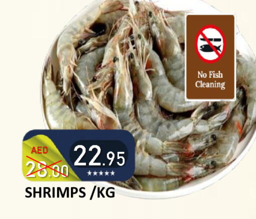 available at رويال جلف هايبرماركت in الإمارات العربية المتحدة , الامارات - أبو ظبي