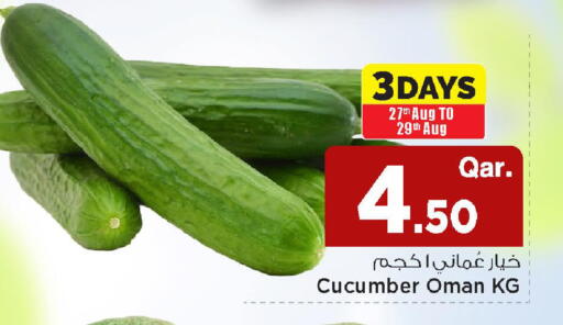 Cucumber from Oman available at مارك & سيف in قطر - الخور