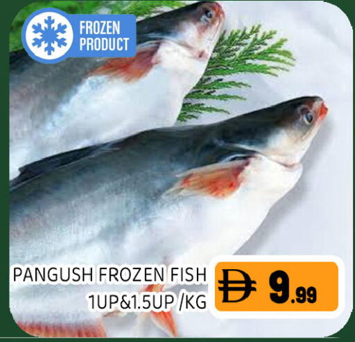 available at Ain Al Madina Hypermarket in UAE - Sharjah / Ajman