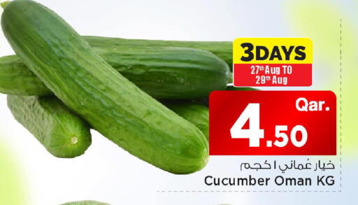 Cucumber from Oman available at مارك & سيف in قطر - الشمال