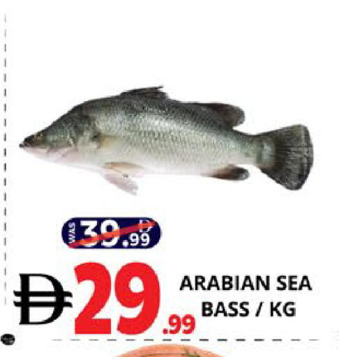 available at اكسبرس المدينة هايبرماركت in الإمارات العربية المتحدة , الامارات - أبو ظبي