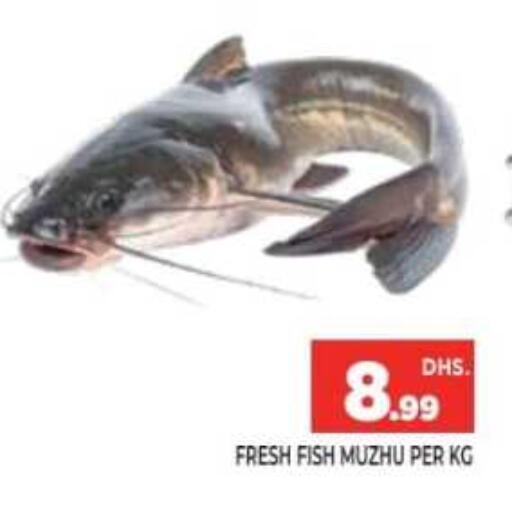 available at Ainas Al madina hypermarket in UAE - Sharjah / Ajman