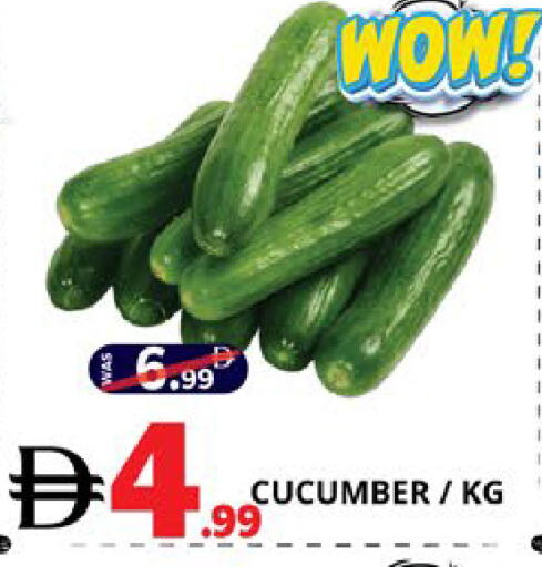 Cucumber available at اكسبرس المدينة هايبرماركت in الإمارات العربية المتحدة , الامارات - أبو ظبي