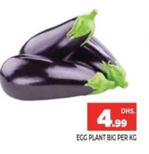 available at Ainas Al madina hypermarket in UAE - Sharjah / Ajman