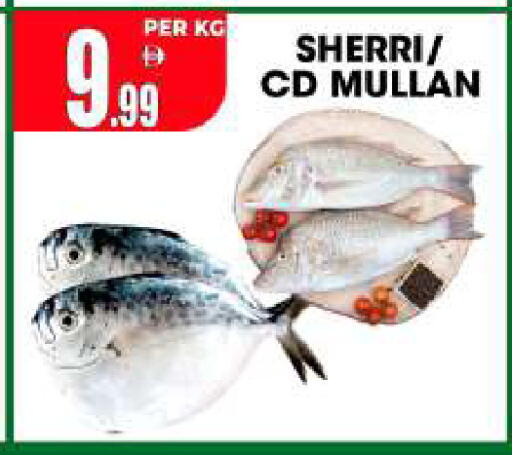 available at Centro Discount Center in UAE - Sharjah / Ajman