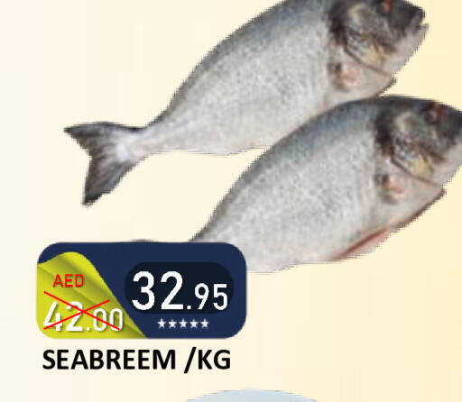 available at رويال جلف هايبرماركت in الإمارات العربية المتحدة , الامارات - أبو ظبي