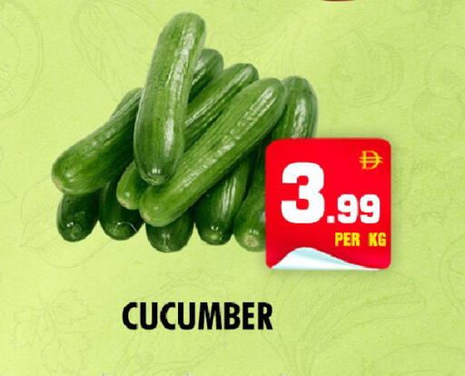 Cucumber available at NIGHT TO NIGHT DEPARTMENT STORE in UAE - Dubai