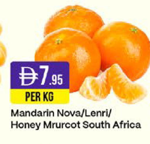 Mandarin from South Africa available at West Zone Supermarket in UAE - Sharjah / Ajman