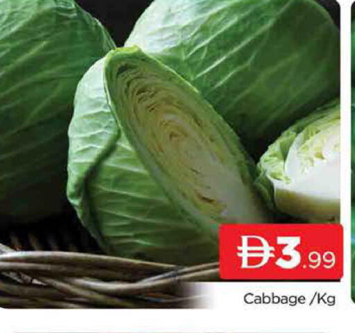 Cabbage available at المدينة in الإمارات العربية المتحدة , الامارات - دبي